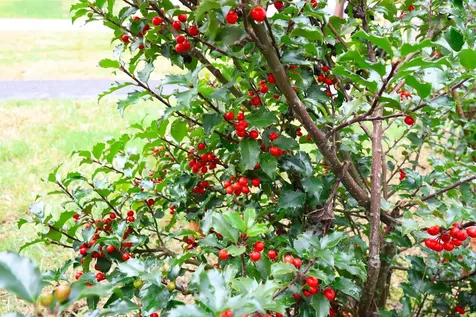 113 Hanover Street Hartford VT 05001