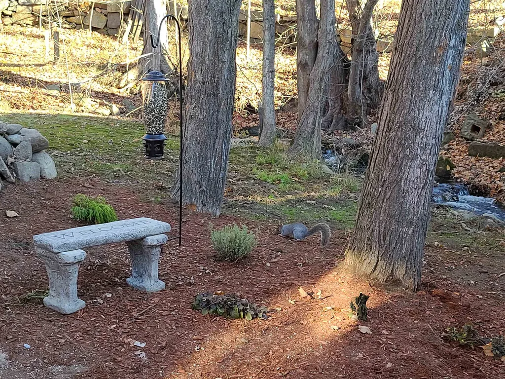 11.5 Eastman Street Concord NH 03301