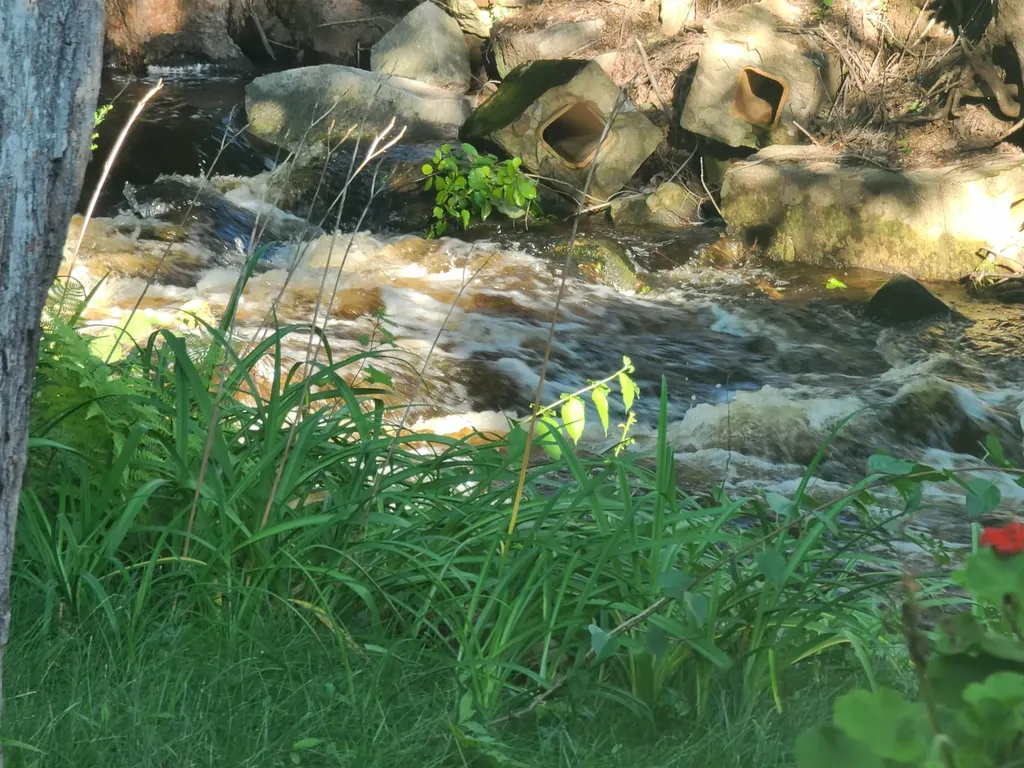 11.5 Eastman Street Concord NH 03301