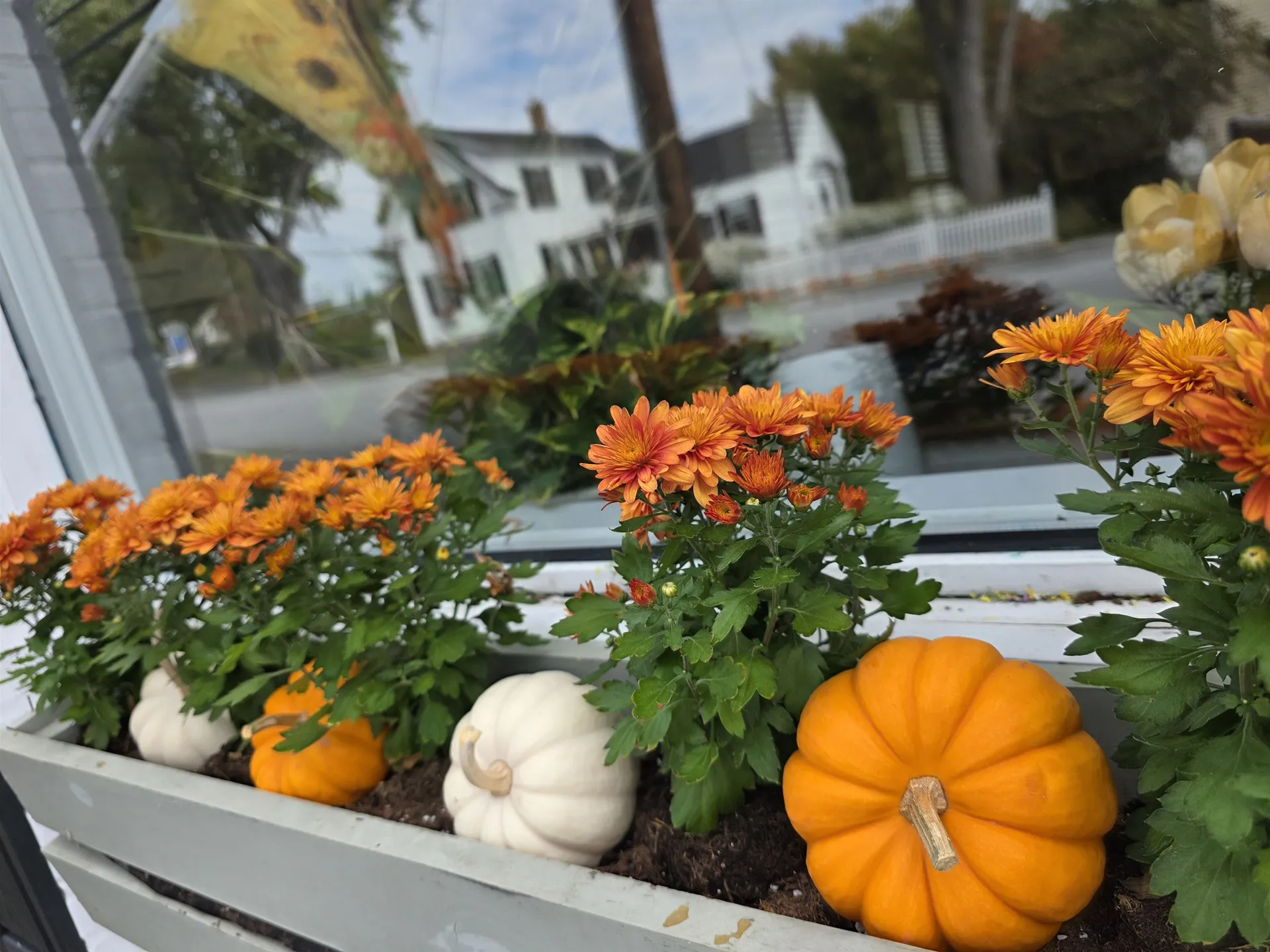 11.5 Eastman Street Concord NH 03301