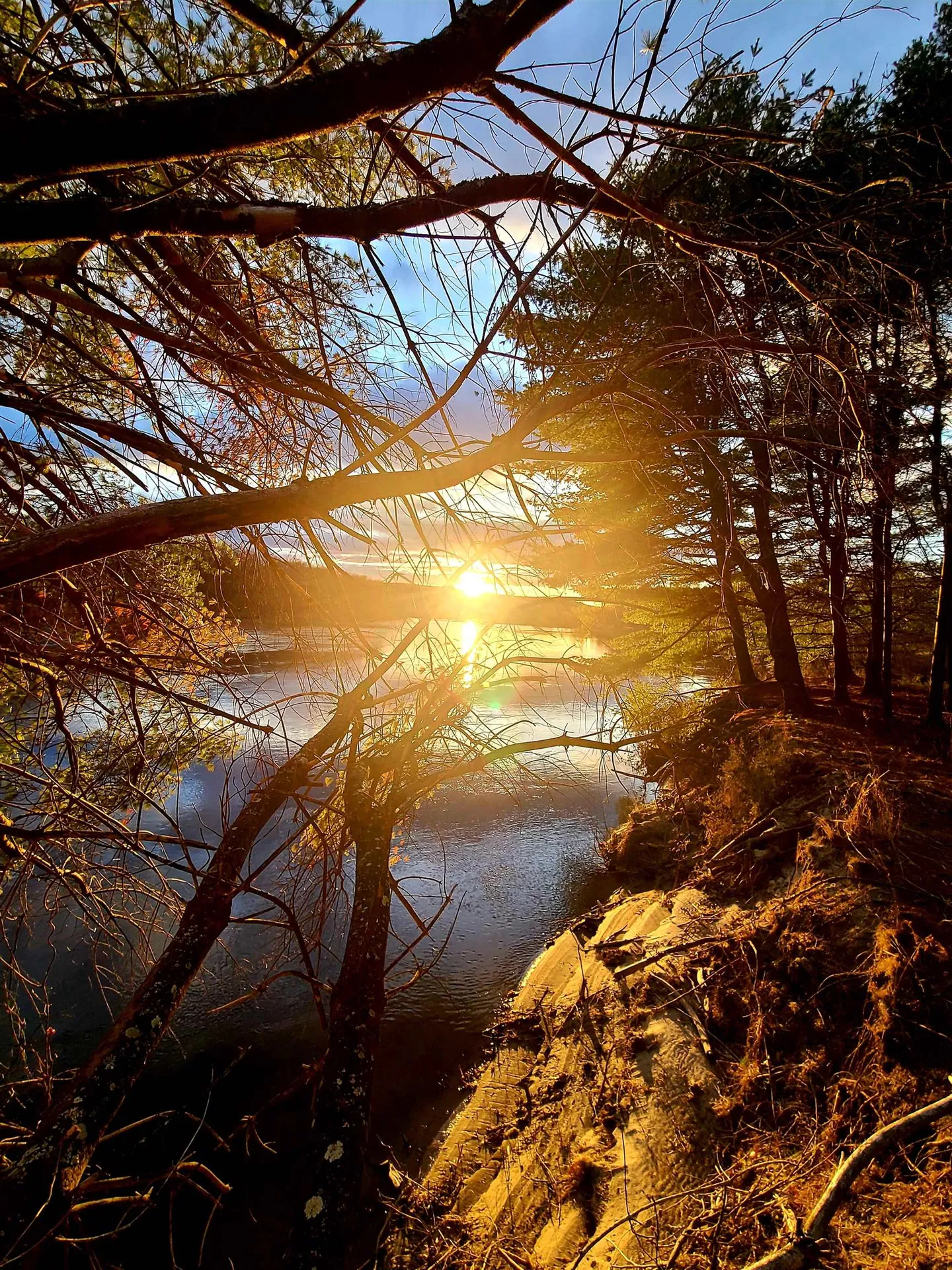 11.5 Eastman Street Concord NH 03301