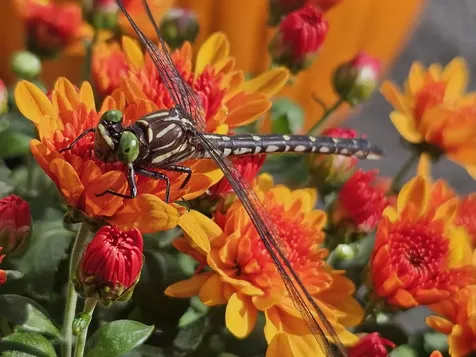 11.5 Eastman Street Concord NH 03301