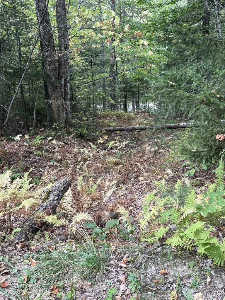 0 Beaver Meadow Road Roxbury VT 05669