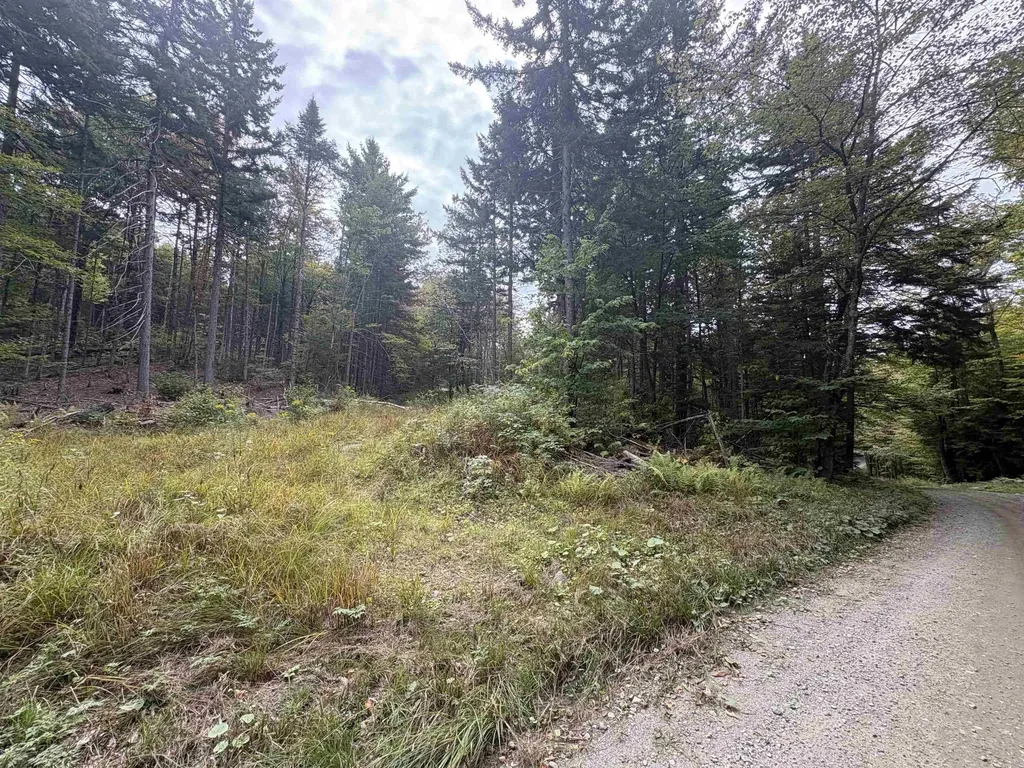 0 Beaver Meadow Road Roxbury VT 05669