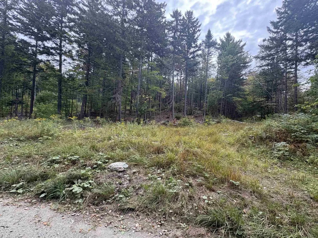 0 Beaver Meadow Road Roxbury VT 05669