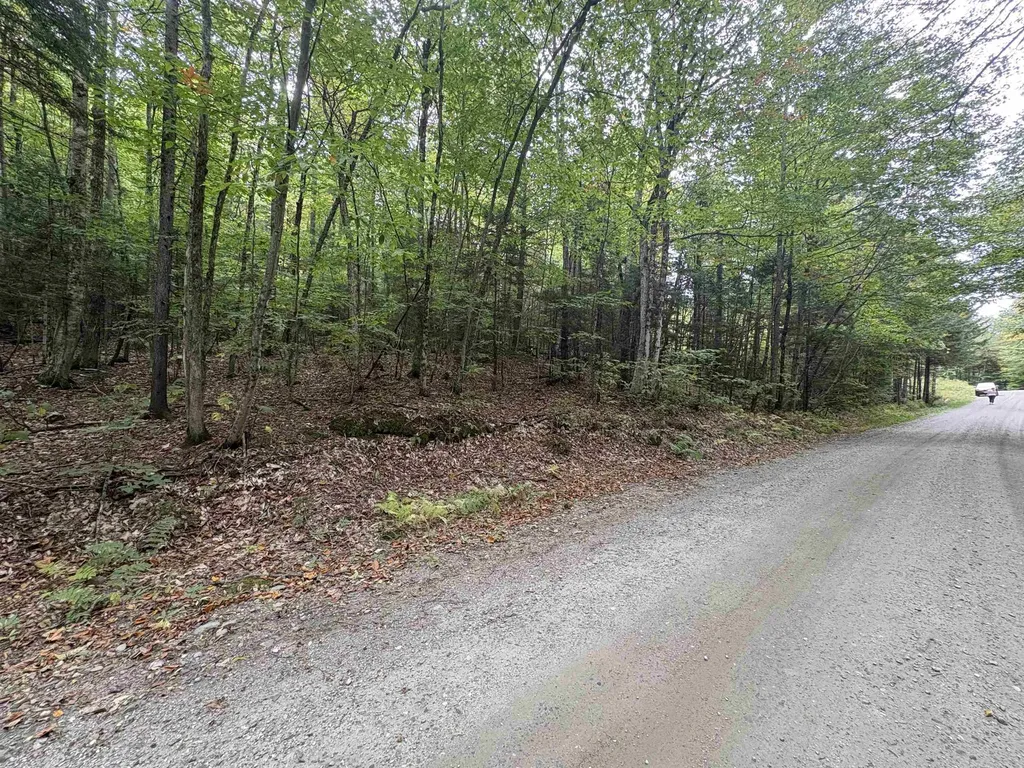 0 Beaver Meadow Road Roxbury VT 05669