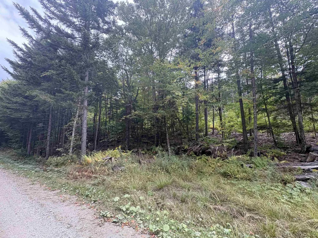 0 Beaver Meadow Road Roxbury VT 05669