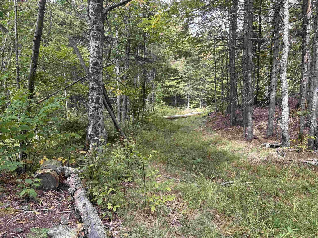 0 Beaver Meadow Road Roxbury VT 05669