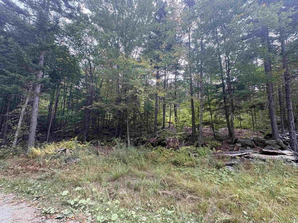 0 Beaver Meadow Road Roxbury VT 05669