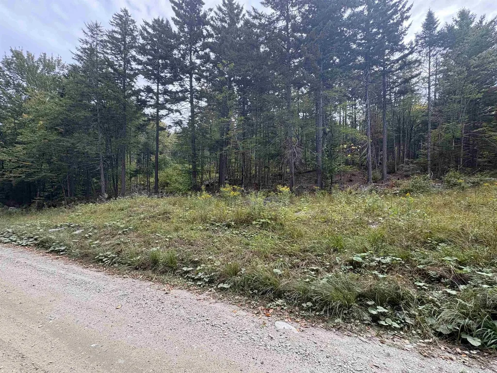 0 Beaver Meadow Road Roxbury VT 05669