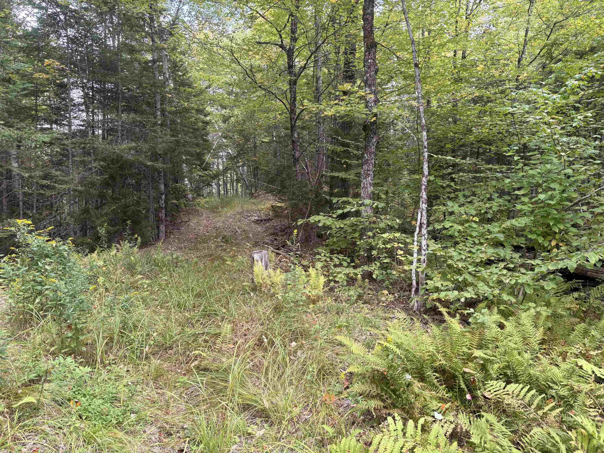 0 Beaver Meadow Road Roxbury VT 05669