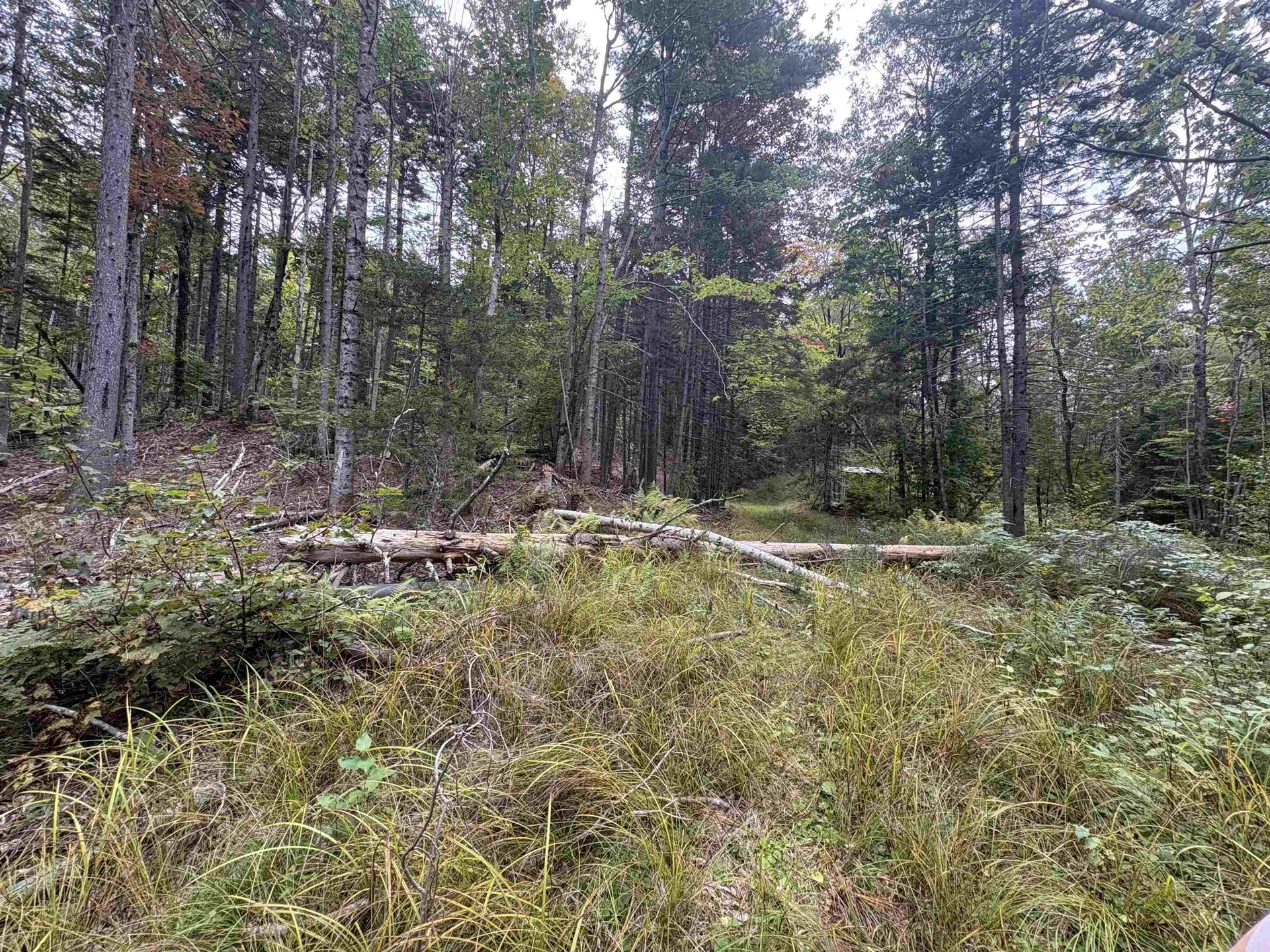 0 Beaver Meadow Road Roxbury VT 05669