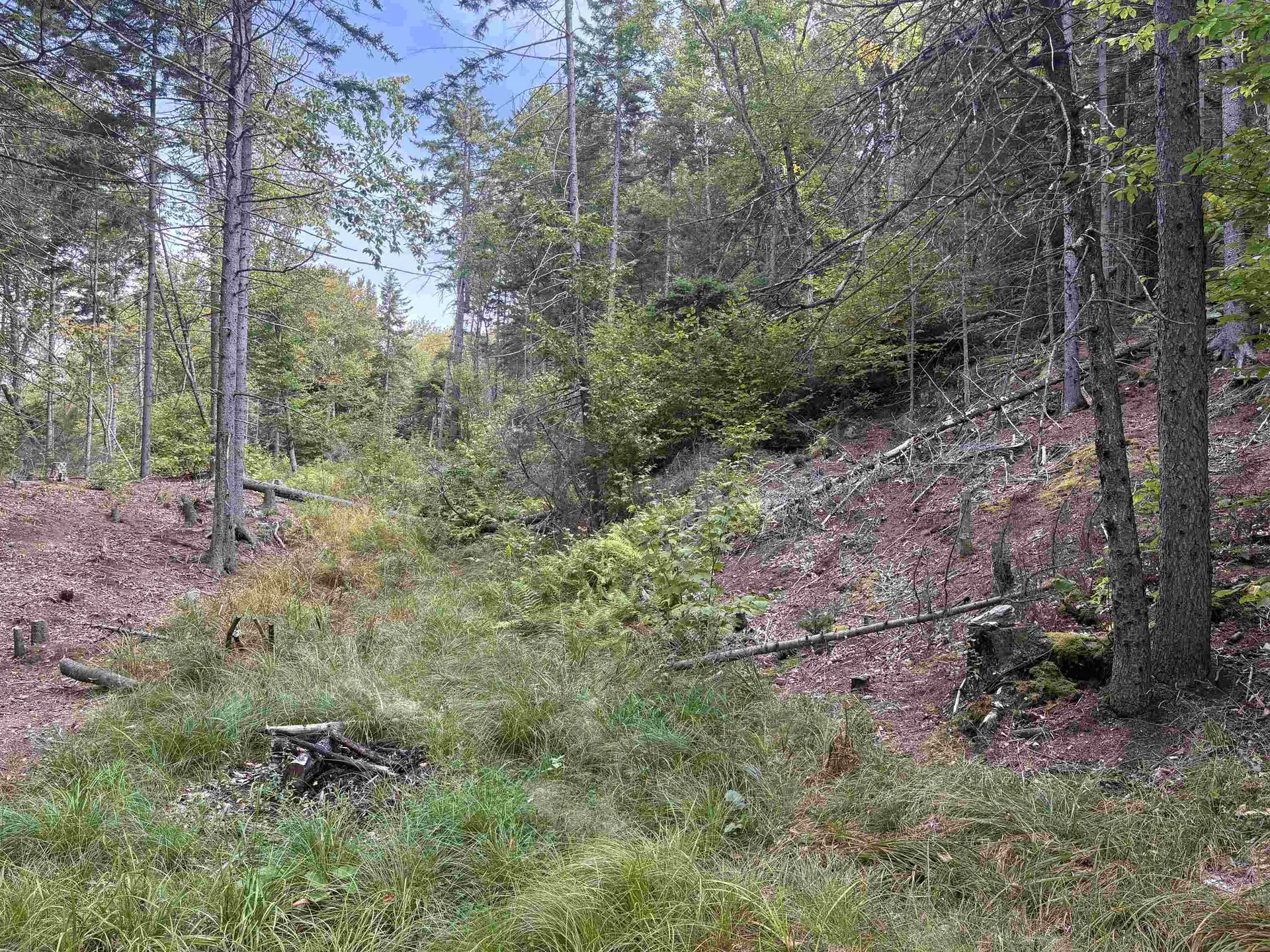 0 Beaver Meadow Road Roxbury VT 05669