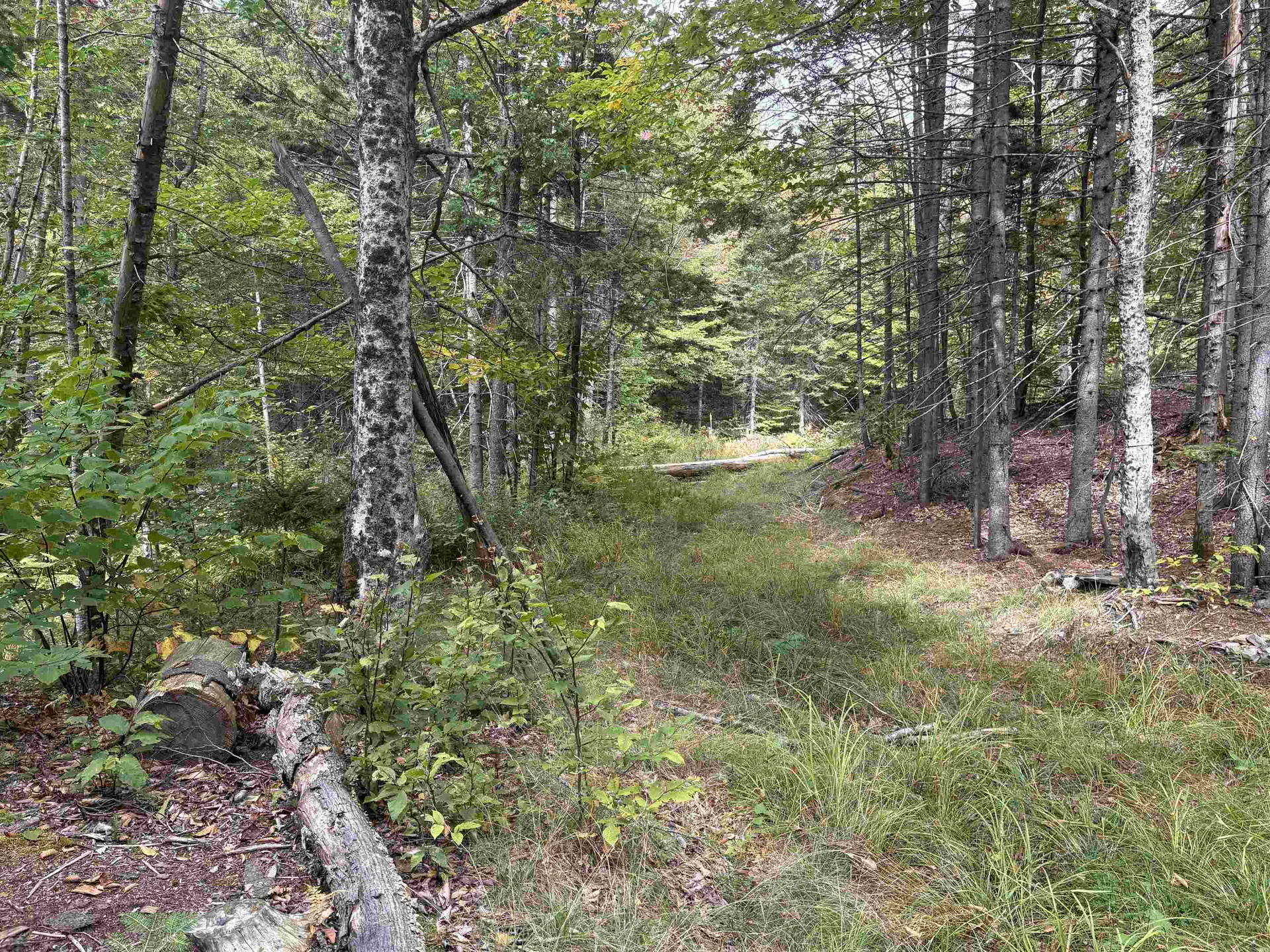 0 Beaver Meadow Road Roxbury VT 05669