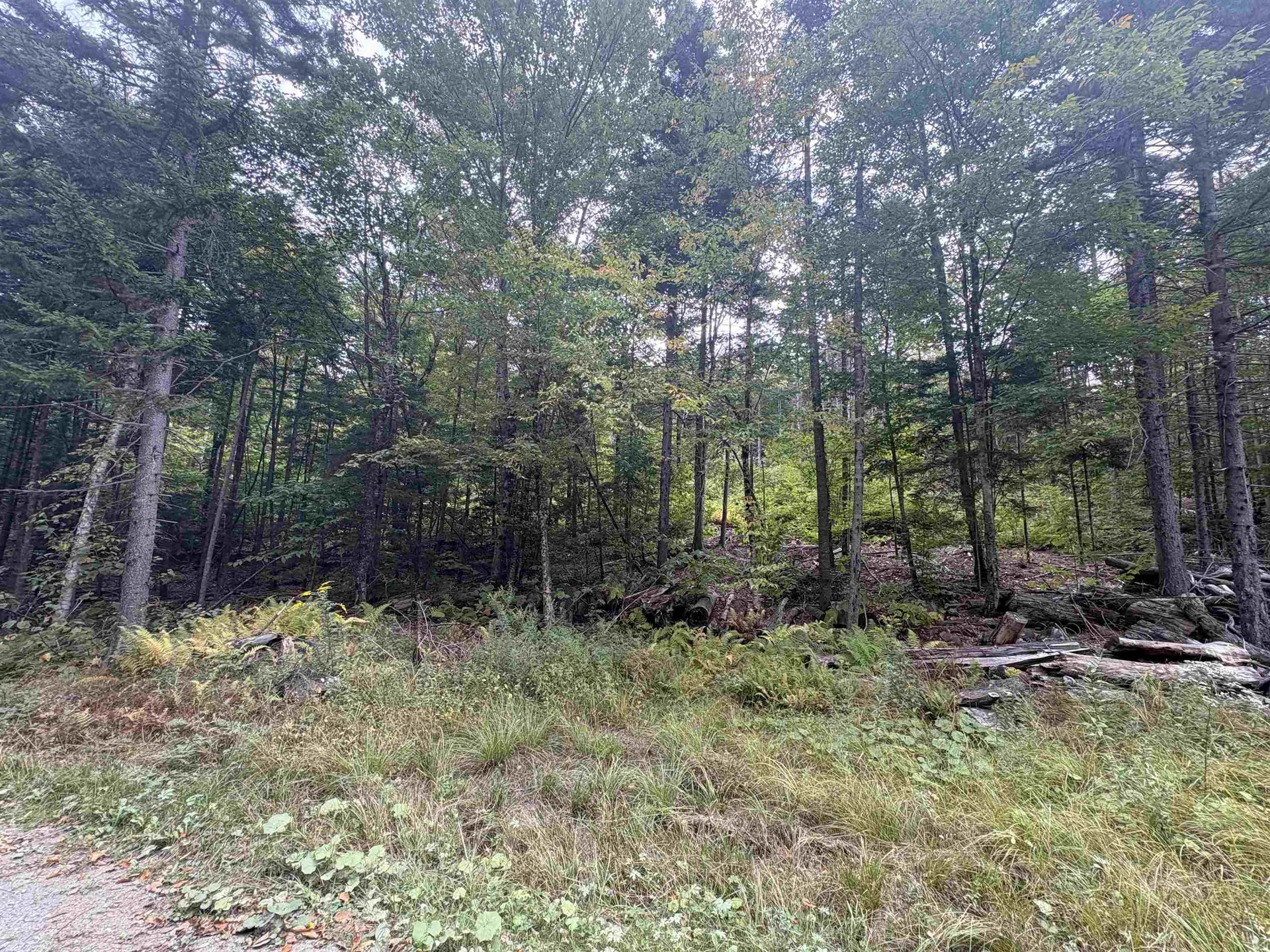 0 Beaver Meadow Road Roxbury VT 05669