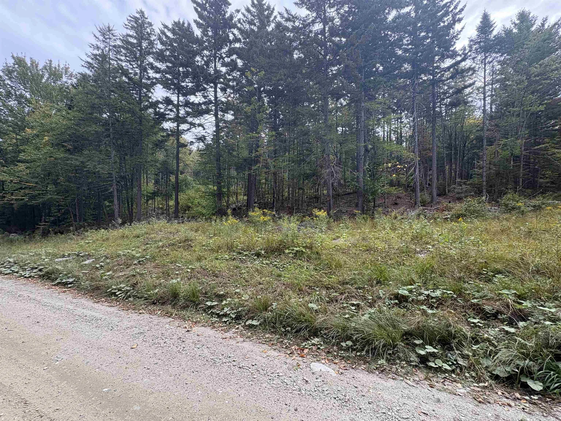 0 Beaver Meadow Road Roxbury VT 05669