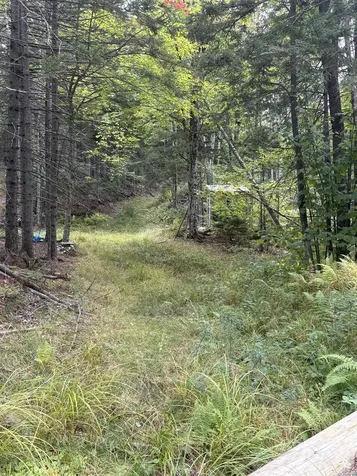 0 Beaver Meadow Road Roxbury VT 05669