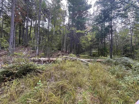 0 Beaver Meadow Road Roxbury VT 05669