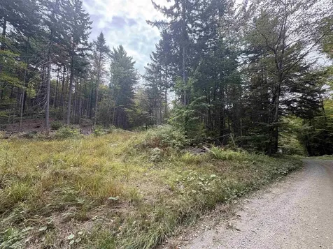 0 Beaver Meadow Road Roxbury VT 05669