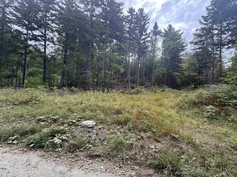 0 Beaver Meadow Road Roxbury VT 05669