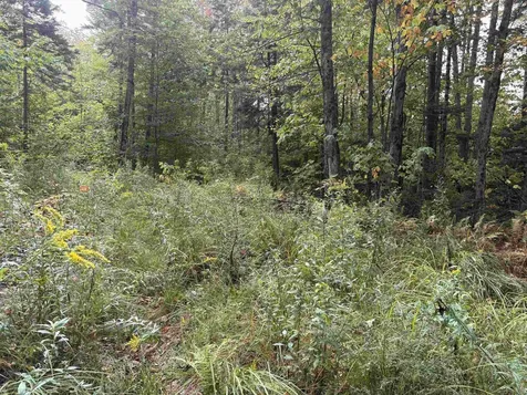 0 Beaver Meadow Road Roxbury VT 05669