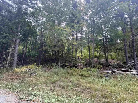 0 Beaver Meadow Road Roxbury VT 05669