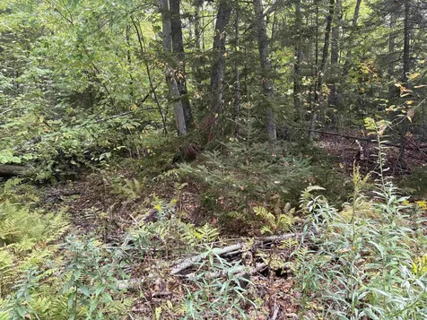 0 Beaver Meadow Road Roxbury VT 05669