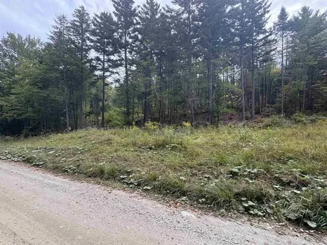 0 Beaver Meadow Road Roxbury VT 05669