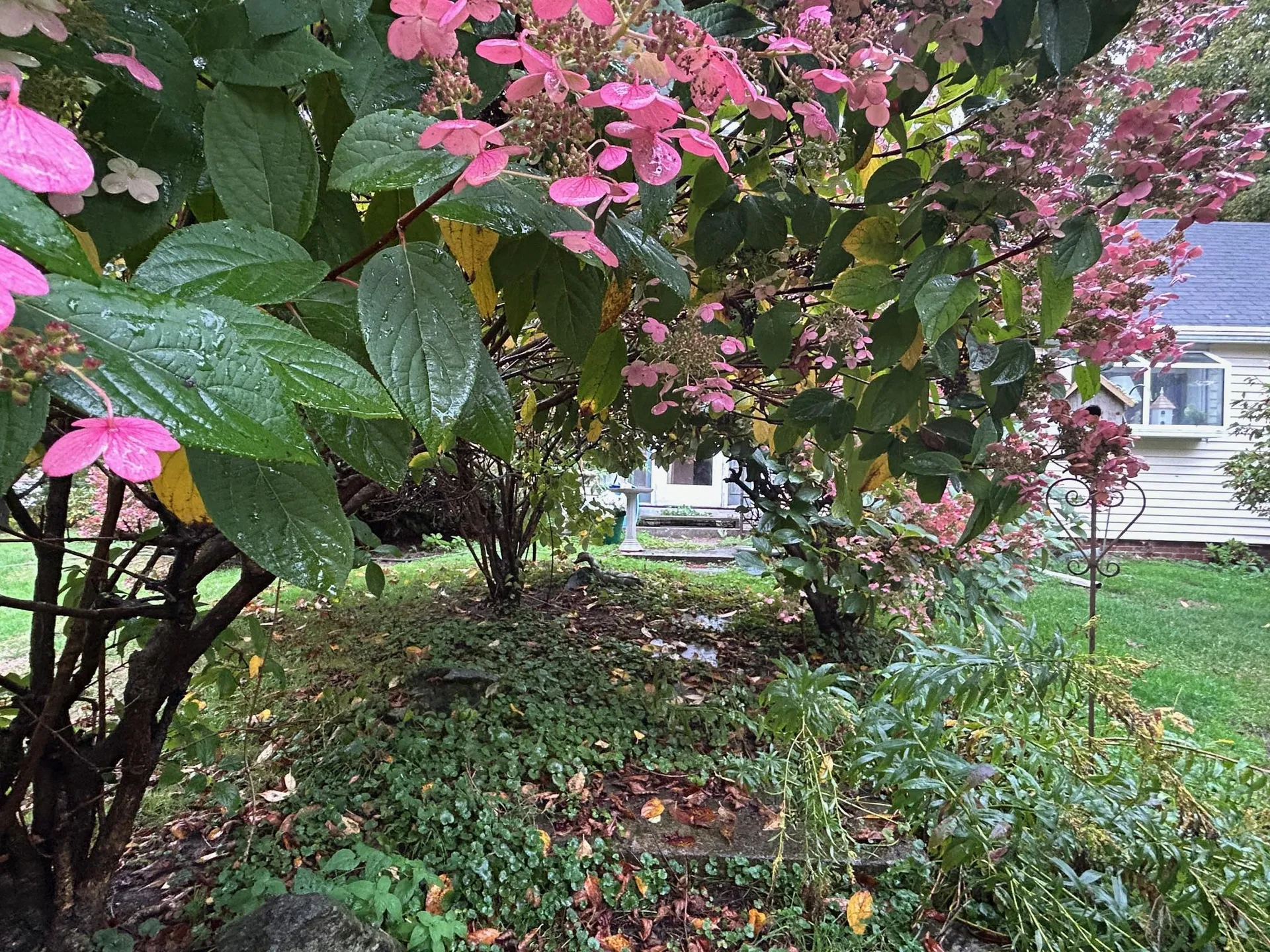 188 Drinkwater Road Kensington NH 03833