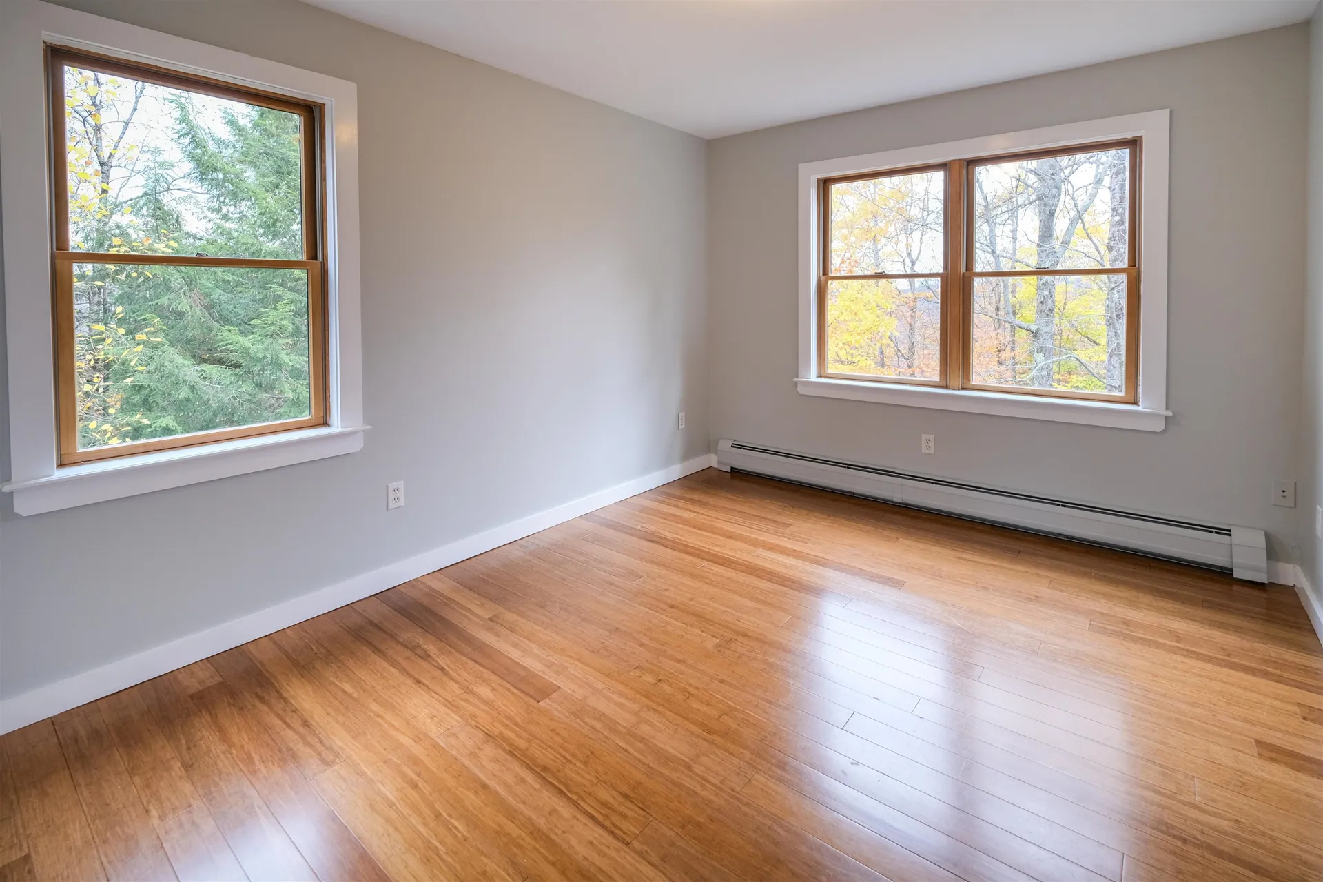 53 Ponus Road Ludlow VT 05149