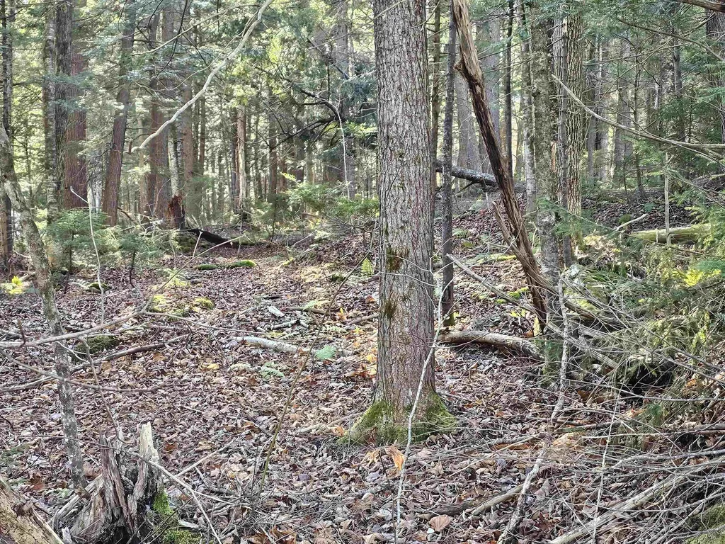 00 Country Court Wilmington VT 05363