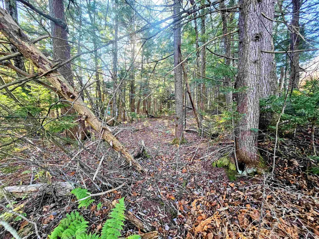 00 Country Court Wilmington VT 05363