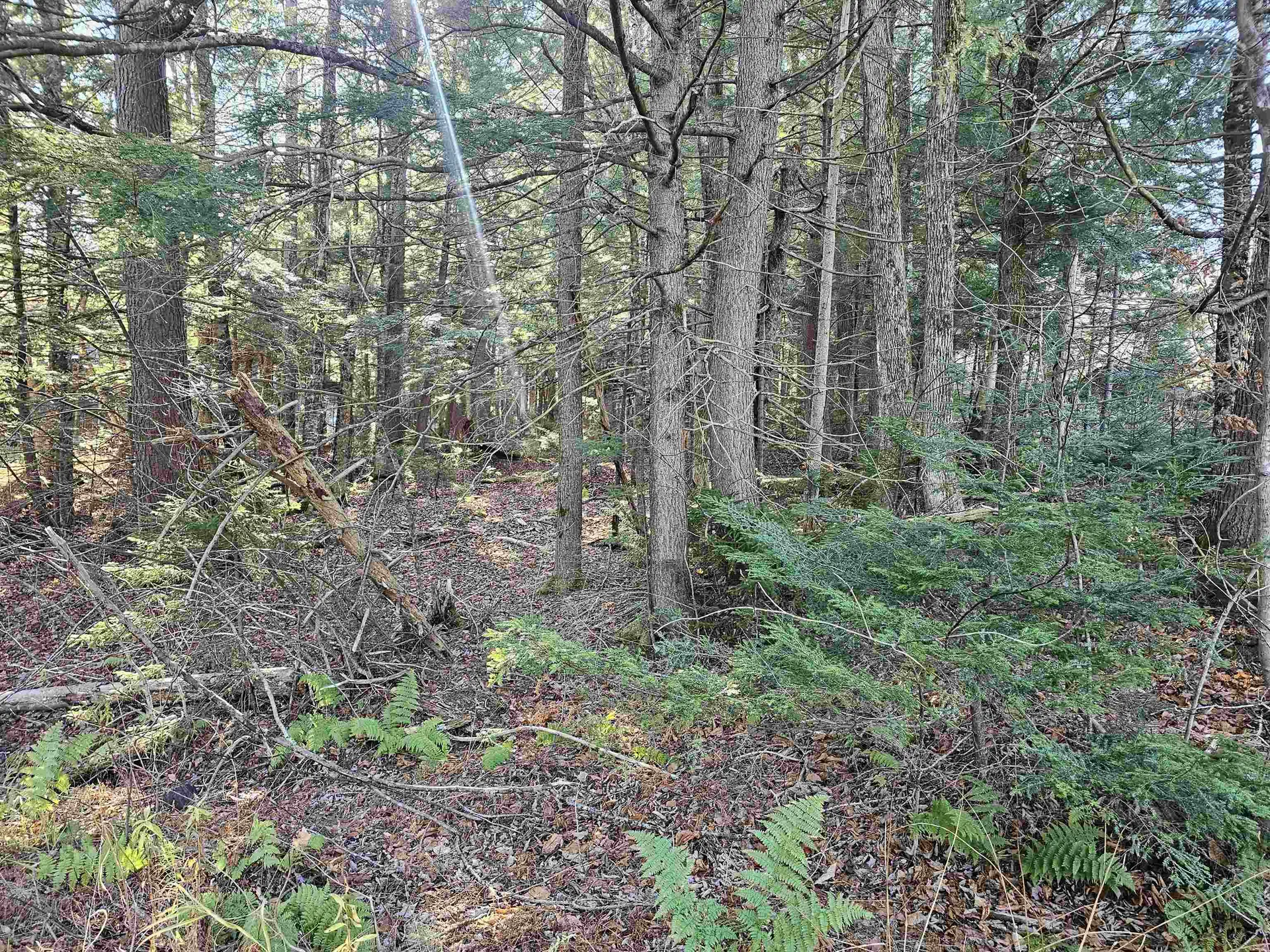 00 Country Court Wilmington VT 05363