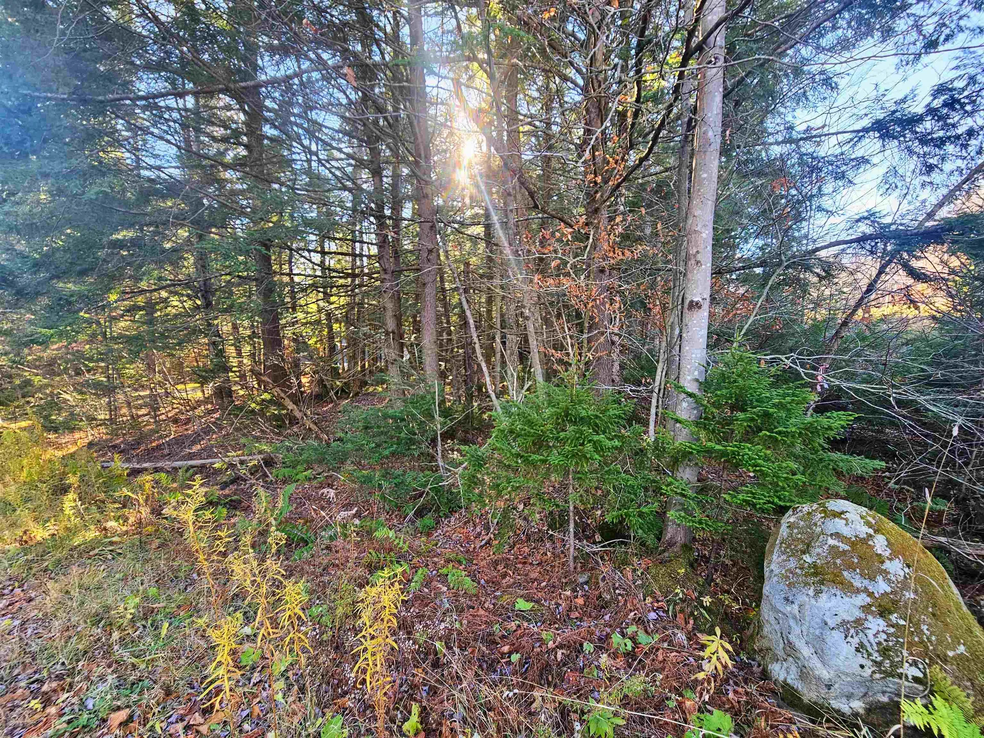 00 Country Court Wilmington VT 05363