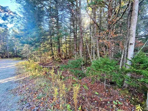 00 Country Court Wilmington VT 05363