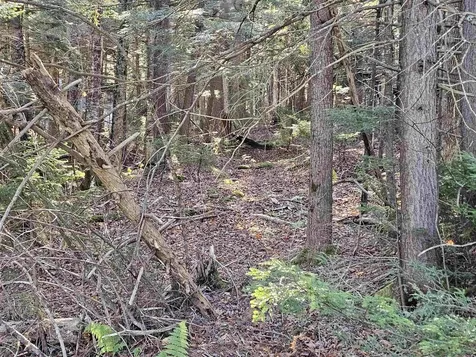 00 Country Court Wilmington VT 05363