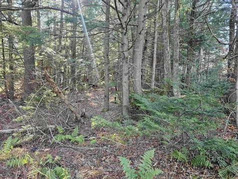 00 Country Court Wilmington VT 05363