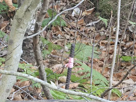 00 Country Court Wilmington VT 05363