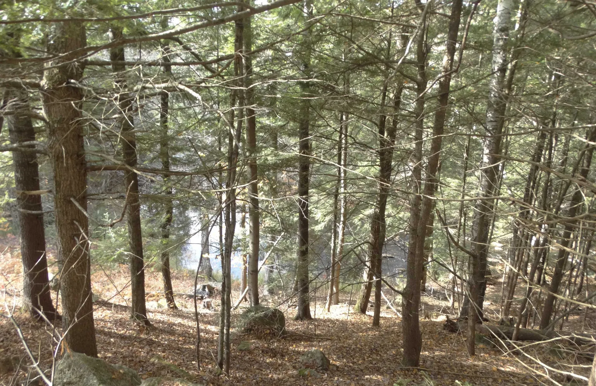 0 Washington Pond Road Marlow NH 03456