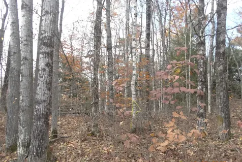 0 Washington Pond Road Marlow NH 03456