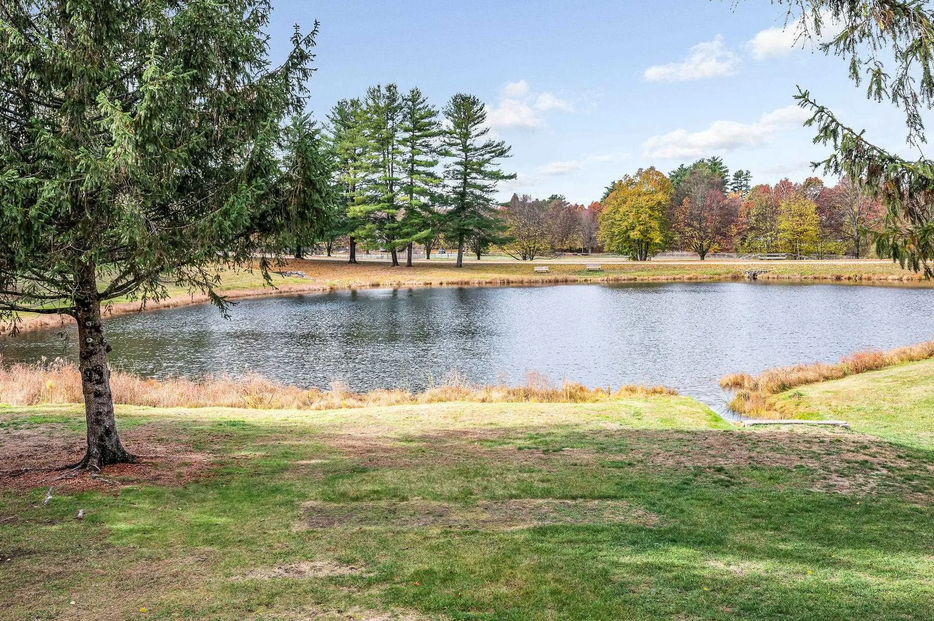 40 Spring Cove Road Nashua NH 03062