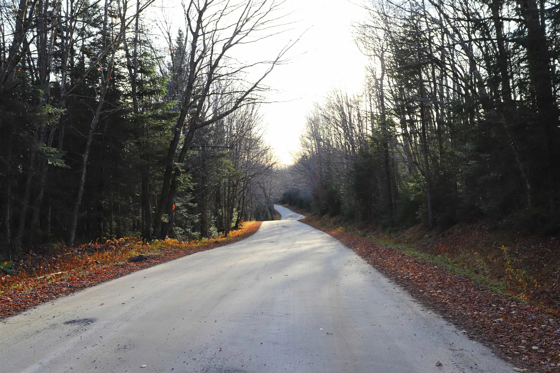 1594 Jackson Road Averill VT 05901