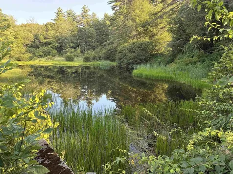 31 Water Street Bradford NH 03221