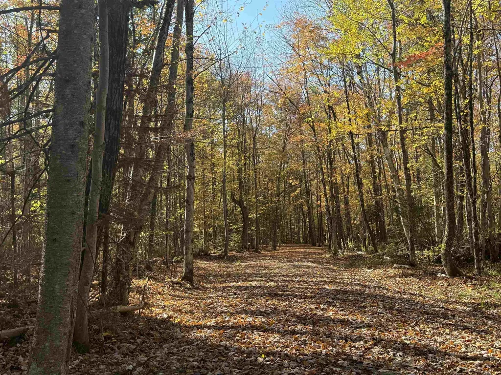 1414 Collins Mill Road Newport Town VT 05857