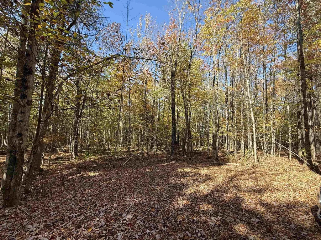 1414 Collins Mill Road Newport Town VT 05857