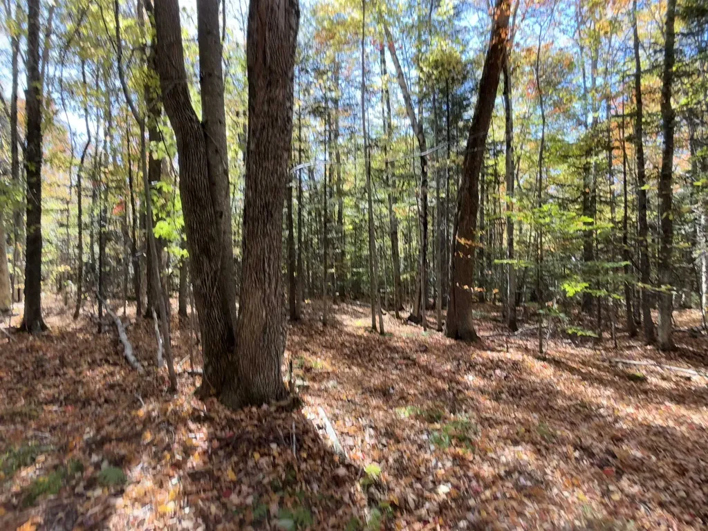 1414 Collins Mill Road Newport Town VT 05857