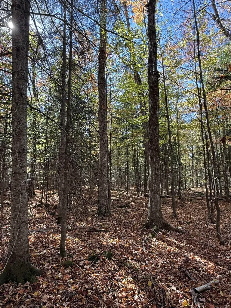 1414 Collins Mill Road Newport Town VT 05857