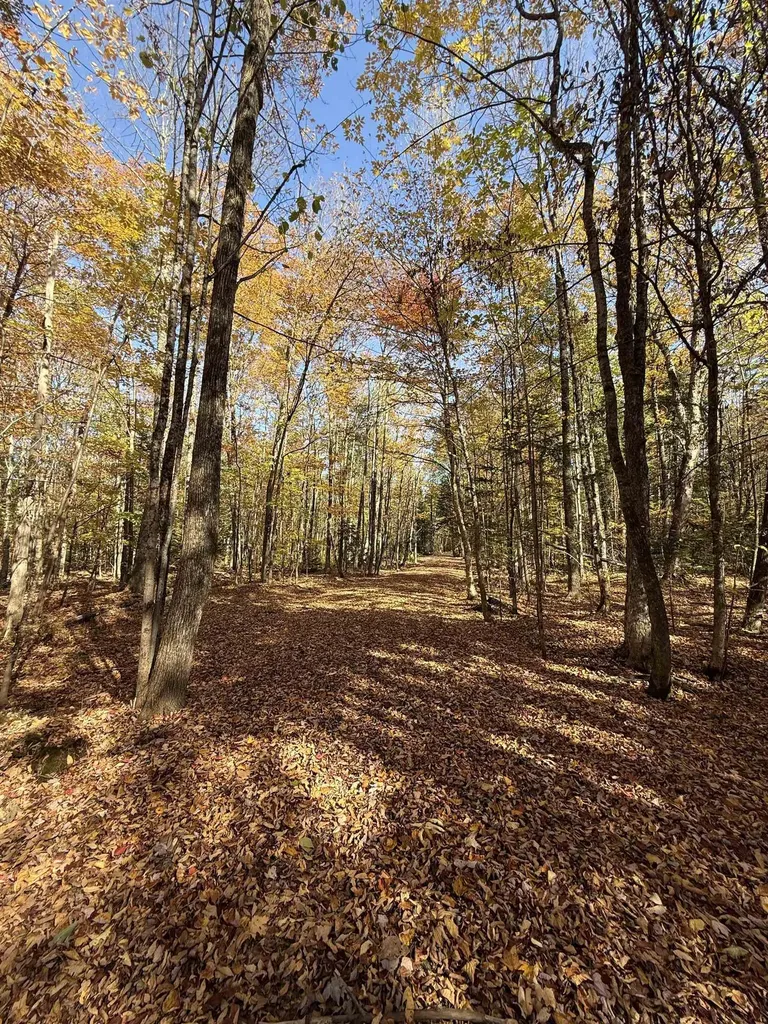 1414 Collins Mill Road Newport Town VT 05857