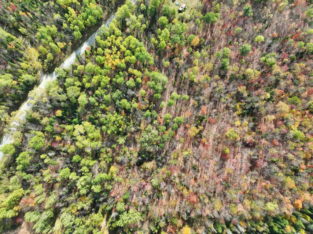 1414 Collins Mill Road Newport Town VT 05857