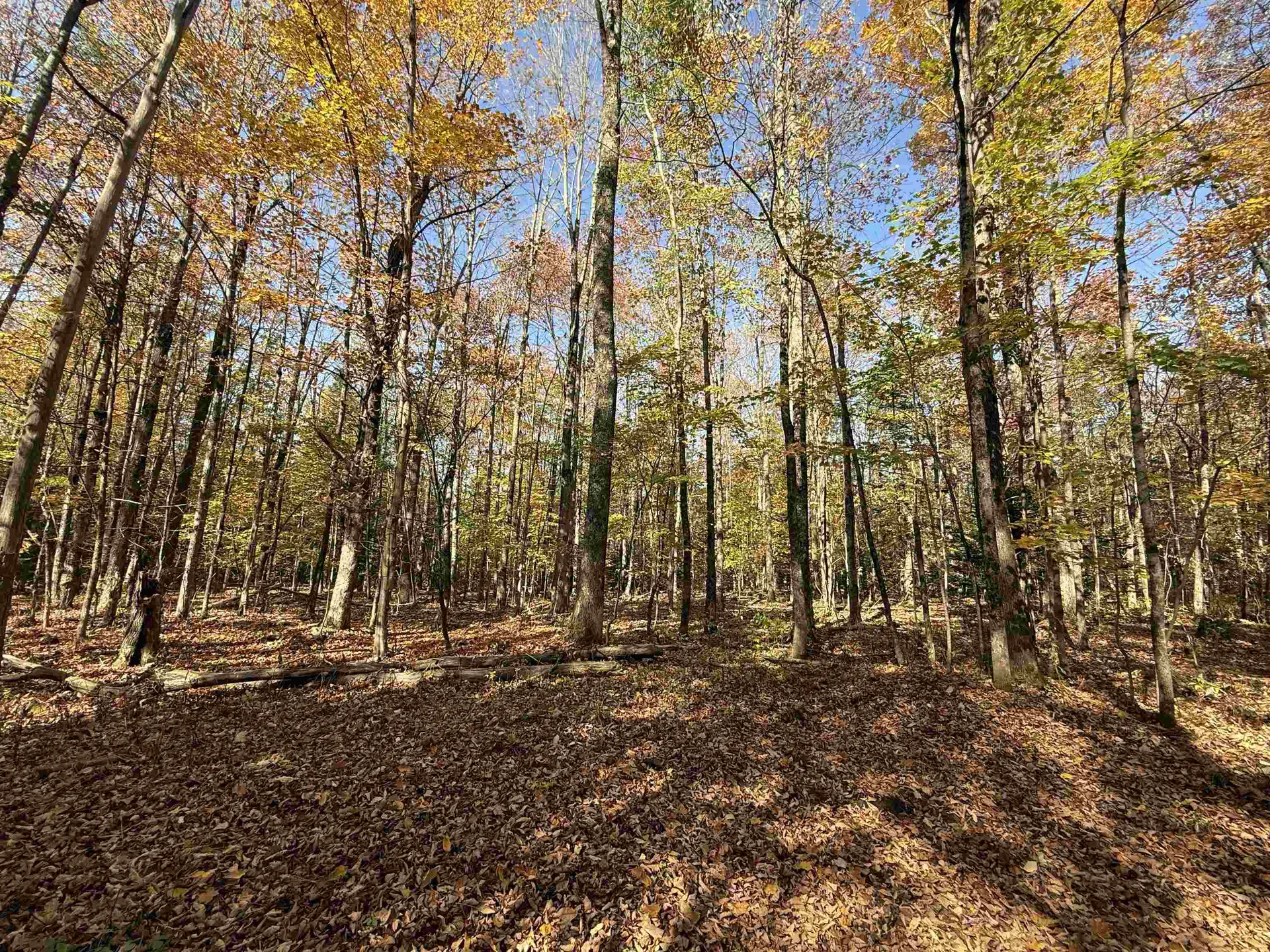 1414 Collins Mill Road Newport Town VT 05857